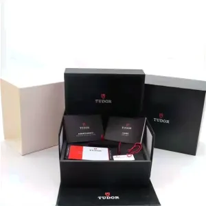 Tudor Box und Papiere